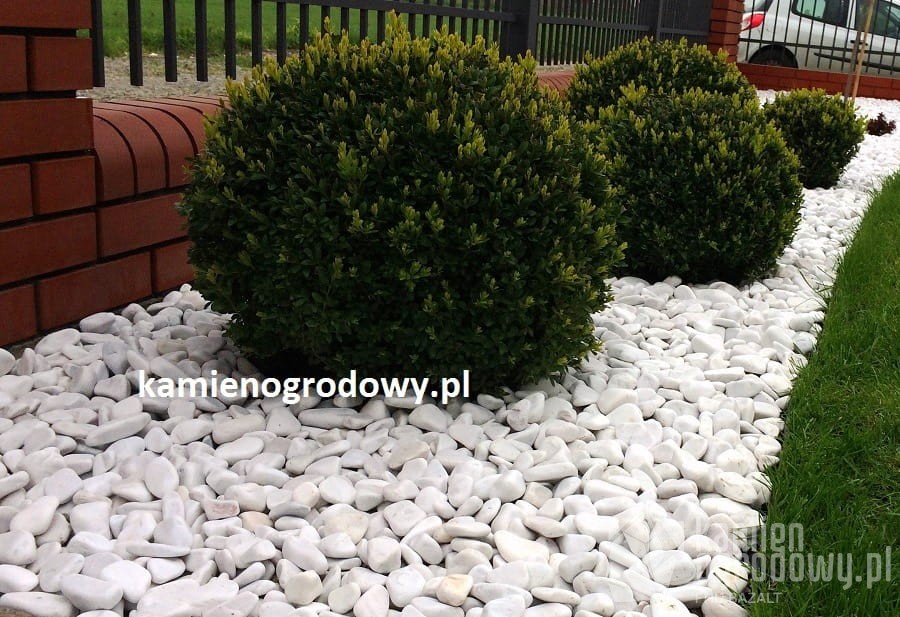 otoczak-bialy-grecki-ozdobny-white-angel-4-8-sklep-kamienogrodowy-1d.JPG