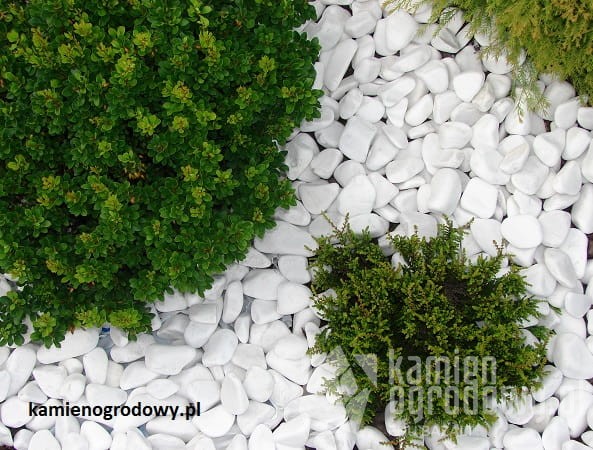 otoczak-bialy-grecki-ozdobny-white-angel-2-4-sklep-kamienogrodowy-1a.JPG