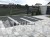 grys-zwir-bazaltowy-czarny-8-16-ozdobny-sklep-kamienogrodowy-1a.JPG