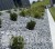 grys-szary-ozdobny-silver-gray-16-32-sklep-kamienogrodowy-2d.JPG