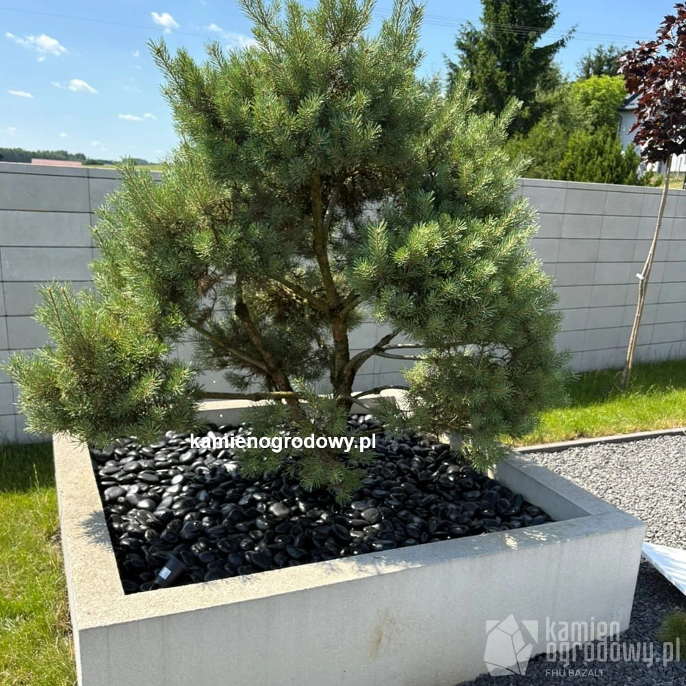 kamien-otoczak-czarny-polerowany-ozdobny-spa-akwarium-donica-ogrodu-sklep-kamienogrodowy-2-3-5-8cm-2b.JPG