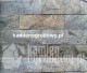 kamien-naturalny-grafitowo-zielona-elewacyjny-plytka-dekoracyjna-sklep-kamienogrodowy-4a.JPG