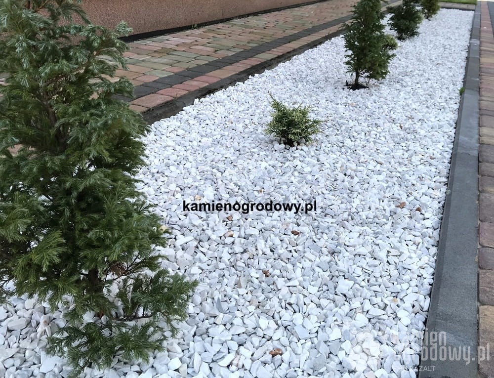 grys-ozdobny-bialy-zwir-grecki-kamien-White-angel-8-16-30-sklep-kamienogrodowy-1e.JPG