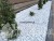 grys-ozdobny-bialy-zwir-grecki-kamien-White-angel-8-16-30-sklep-kamienogrodowy-1e.JPG