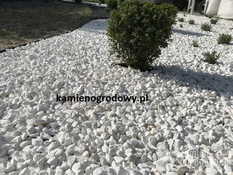 grys-ozdobny-marmurowy-sniezno-bialy-zwir-grecki-kamien-tassos-sklep-kamienogrodowy-2a.JPG