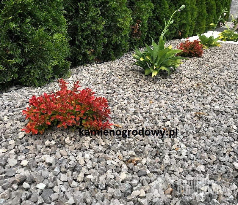 grys-szary-8-16-ozdobny-ogrodowy-sciezke-podjazd-sklep-kamienogrodowy-1.JPG