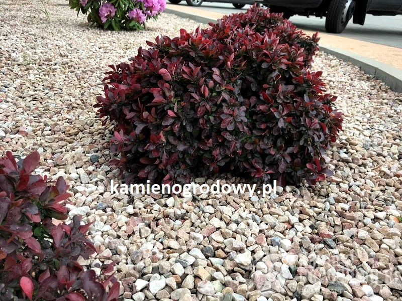 zwirek-ozdobny-grys-cappuccino-8-16-do-ogrodu-sklep-kamienogrodowy-1a.JPG