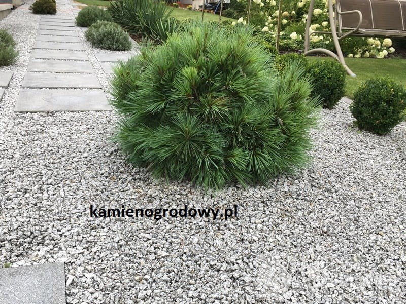 grys-granitowy-dalmatynczyk-8-16-szary-ozdobny-zwirek-sklep-kamienogrodowy-1a.JPG