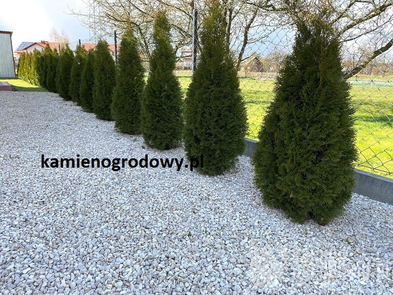 grys-zwir-ozdobny-do-ogrodu-kremowy-11-16-kamien-podjazd-sklep-kamienogrodowy-1a.JPG