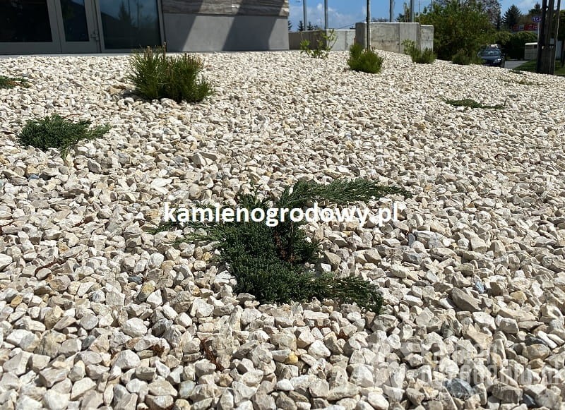 grys-zwir-ozdobny-do-ogrodu-kremowy-16-22-kamien-podjazd-sklep-kamienogrodowy-1c.JPG