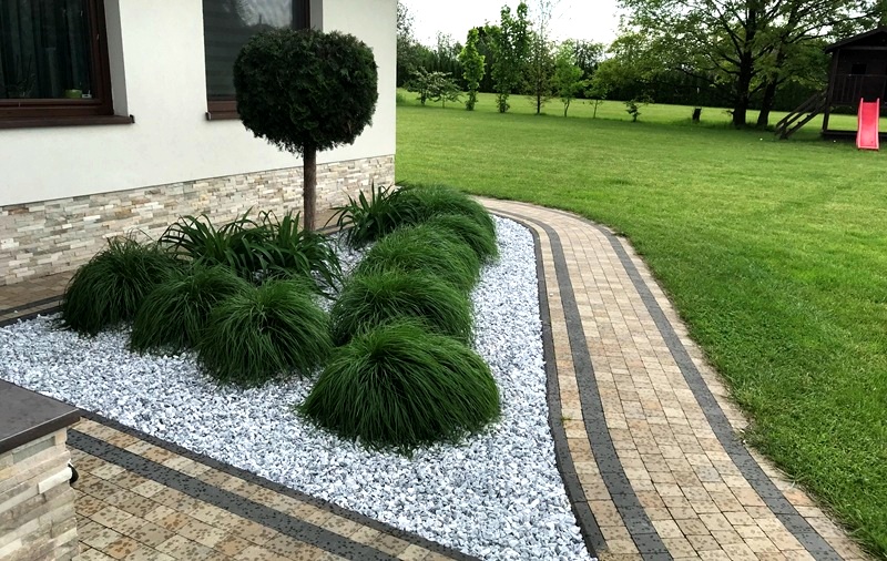 Zdjęcie 5