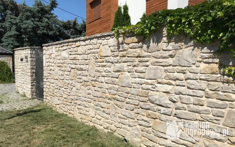 Zdjęcie 5